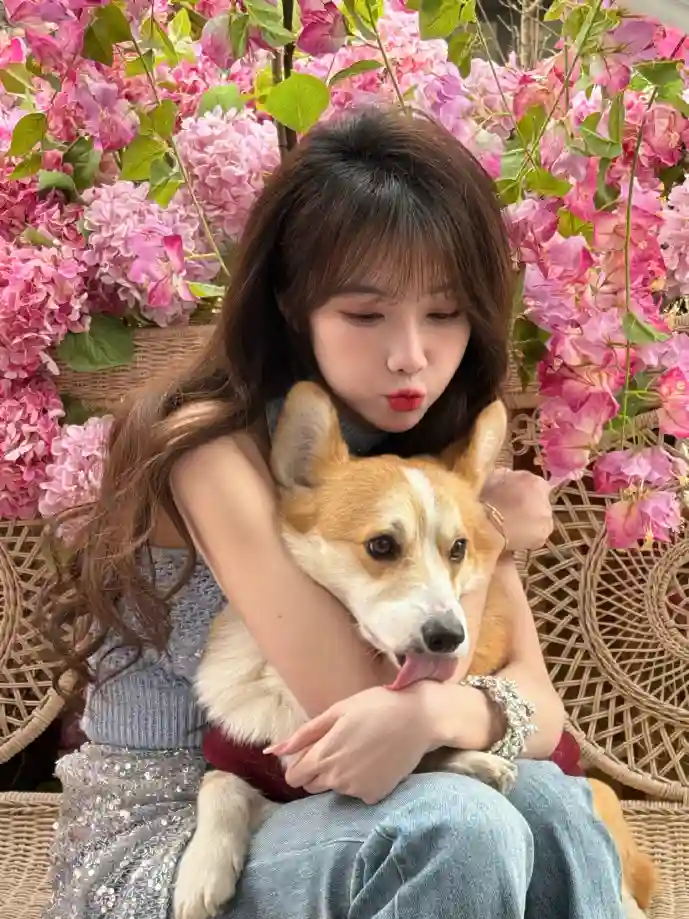 巫妖王之怒游戏截图